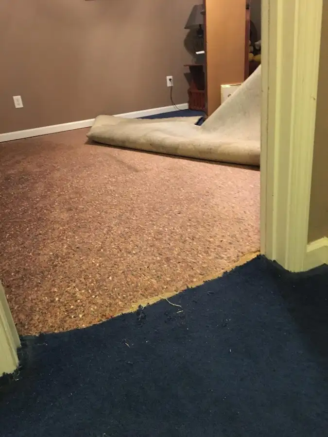 Carpet pad removal revealing water damage during Drying & Dehumidification in Wekiwa Springs