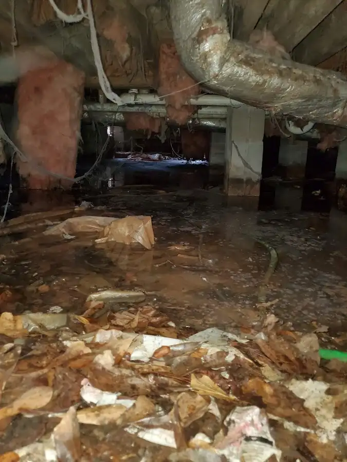 Crawl space flood assessment for Leak Detection & Repair in Wekiwa Springs